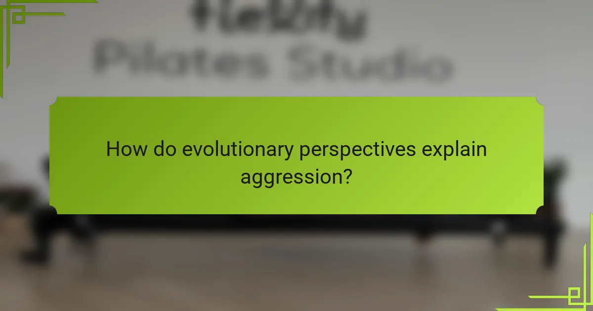 How do evolutionary perspectives explain aggression?