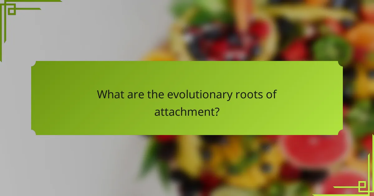 What are the evolutionary roots of attachment?