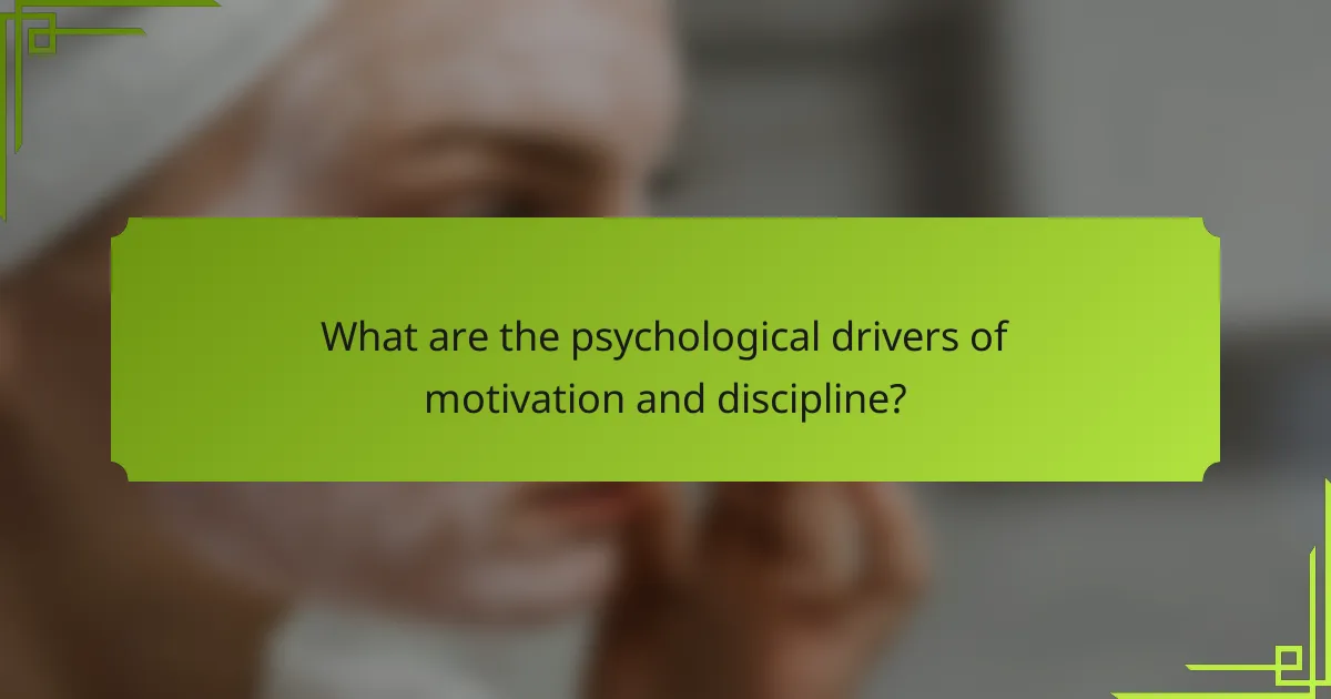 What are the psychological drivers of motivation and discipline?
