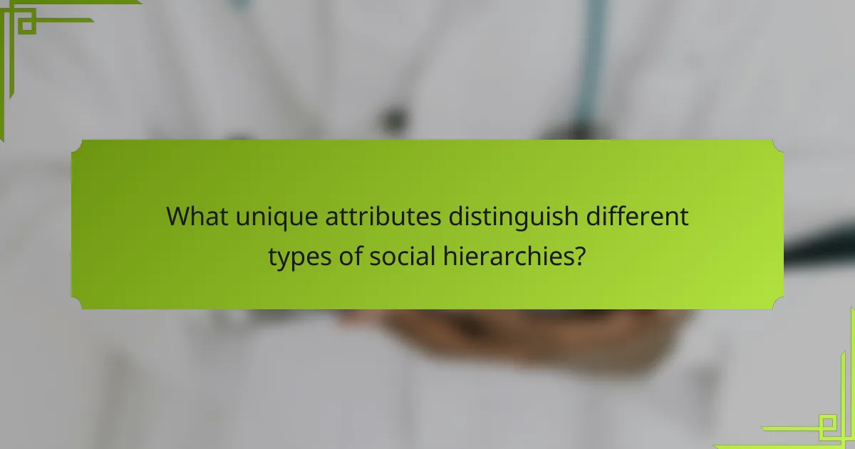 What unique attributes distinguish different types of social hierarchies?